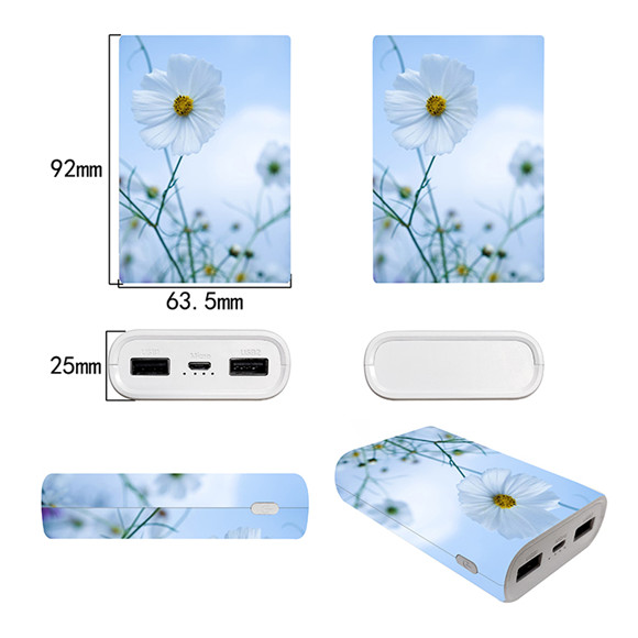 2020 newest large printing area 10000mAh mophie charging Power Bank LWS-2016